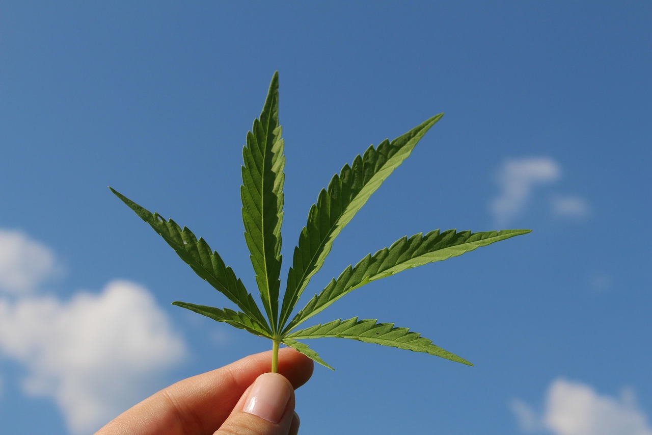 Hemp leaf held against a blue sky — hemp is the source of both CBG and CBD