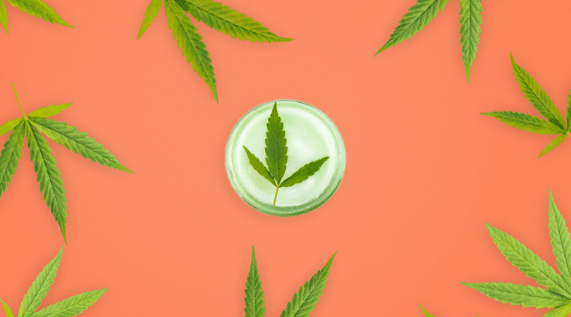 7 Best CBD Beauty Products to Help You Relax