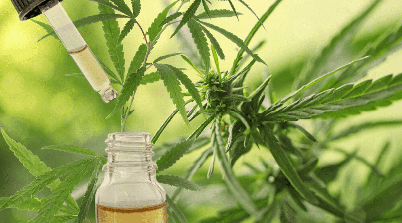 What CBD Stands For