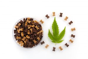 cbd dog treats in canada