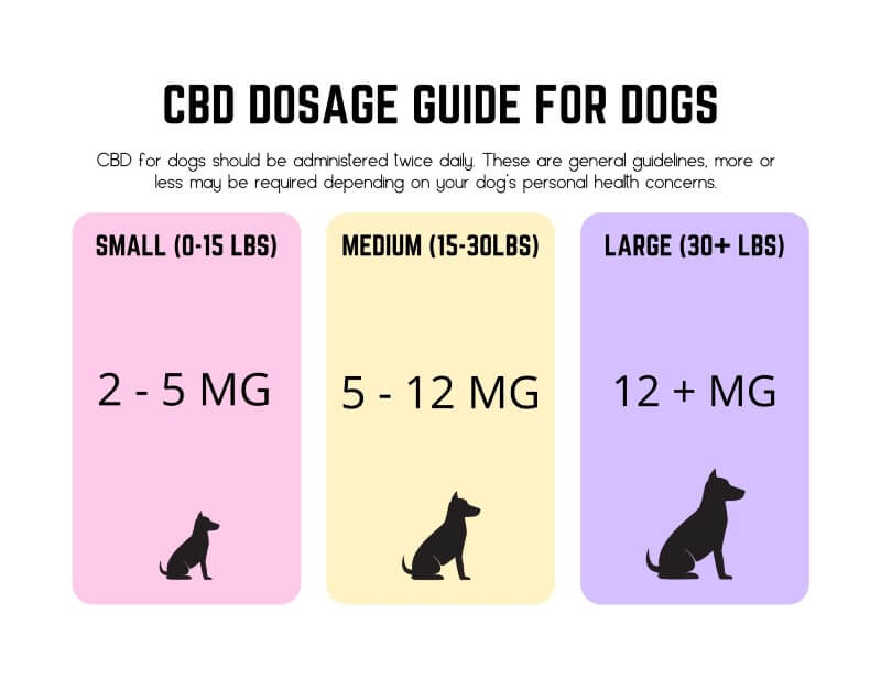 CBD dosage guide for dogs
