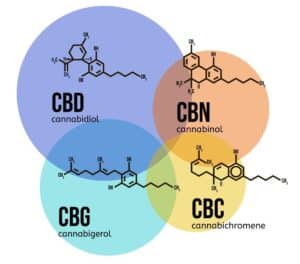 isolats de cannabinoïdes